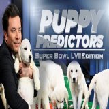 ???????? ???????????????? Now@nflstreamhub  Watch NFL Super Bowl LVII Live Streams Free  NFL TV@nflstreamhub  nfl super bowl 2023 Super Bowl LVII  super bowl halftime s ho puppy bowl Eagles vs Chiefs  nfl stream free reddit #SBLVII #SuperBowl #PuppyB