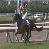 まもなく！【美の壺】#人と共に在る_馬 「走る芸術品」タイトルホルダー　その美の秘密とは！？ #サラブレッド　#タイトルホルダー　#役馬　#大河ドラマ #北斗の拳・黒王号　#遠野の馬搬　#沖縄・与那国馬  今夜7:30～ BSプレミアム・BS４K
