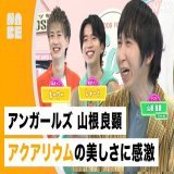#NABE で #アクアリウム 沼のダイジェストが 見られますよ   #もーりー #しゅーと の水中ツアーや #山根良顕 さんの水槽トークも  NABEには これまで放送した他の沼の動画も あがっていますので 時間つぶしにどうぞ～  #NHK沼