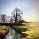 Wishing you a happy Boxing Day from Great Ayton, North Yorkshire