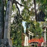 #イマソラ #いまそら ではなく、11月の #名古屋 遠征其弐  #城山八幡宮 #末森城 址 でも #sslive62 ライブ成功祈願 #空堀 が凄かった～  #御朱印 #御城印 #御姫印 #織田信長 #織田信秀 #織田信行 #織田信包 #織田秀孝 #土田御前 #お市の方 #おいぬの方 #豊玉稲荷大神