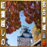 #イマソラ #いまそら ではなく、11月  #名古屋 遠征其肆 #名古屋城 の空  1 #紅葉 が凄かった～ #徳川義直 2 後光射す #加藤清正 公像 3 #那古野城 址でもあるのよね #織田信長 #織田信秀 #織田信光 所縁 4 #御城印 #武将印 #御姫印 限定の #でらます #歴ドル #丹羽仁美 版もあり
