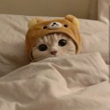 2月11日㈯  建国記念の日 わんこそば記念日 仁丹の日  おはようございます  昨日の関東などの大雪 受験生や僕同様、お身体のご不自由な方、通勤通学 お疲れ様でした。  お怪我などございませんことを&hellip;  今日も1日ご安全に  #おは戦50211fd  #たけうちーむ  アカン 選べない