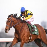 くそ～ まあ来週取り返そう 3冠の通過点 楽勝でしょう 伝説のはじまりですね #皐月賞 #三冠馬  #ソールオリエンス