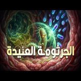 ليه جرثومة المعدة عنيدة في علاجها؟ وبترجع تاني بعد ما نخف منها؟