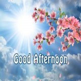 #Goodafternoon and happy #weekend #twitter world!!!! #shill me some  #100x #Gem    #crypto #altcoin #alts  #cryptogem #memecoin #meme #Memes #CryptoGems #1000xgem #1000x #btc&nbsp;&nbsp;&nbsp;&nbsp;&nbsp;&nbsp;&nbsp;&nbsp;&nbsp;&nbsp;&nbsp;&nbsp;&nbs