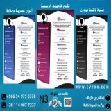 Create a professional arabic or english #CV in minutes with a great infographic or modern design  for more check our #DM  . . . #البزنس28 #كرستيانو_رونالدو #مرسول_بارك