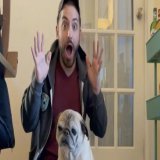 Noodle, the pug who rose to fame on TikTok for forecasting whether it would be a "bones" or "no bones" day, has died at the age of 14.
