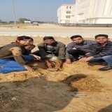 Celebration of #HaryanaDay by 100 #Tree Plantation drive by @_NSSIndia unit of Vaish College Bhiwani Haryana #AzadiKaAmritMahotsav  #NationalUnityDay  @ianuragthakur @NisithPramanik @pankajsinghips @PIB_India @YASMinistry @PMOIndia @NssVcb