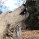 SING IT OUT!