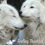 From our family to yours, Happy #Thanksgiving.