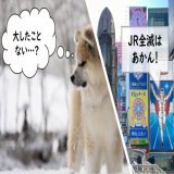 おはよー  西新宿はくもり  #最強寒波襲来   雪国では「大したことない」との声も Twitter上である一方  関西では多くの路線が運転見合わせで 「#JR全滅」との声も  東京は寒い程度で まだ実害は感じませんが  どんな地域でも 引き続き、警戒すべきことは確か  #企業公式が毎朝地元の天気を言い合う
