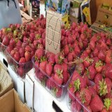 Мирный Мелитополь. Оккупанты под дулом автомата сгоняют народ на ярмарки, заставляя покупать клубнику и мясо.