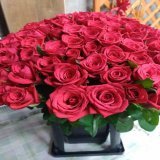 花束はお花業界に関わる沢山の人達の想いと思いが詰まっています。  花束贈呈で花束を投げ捨てる行為は、見ていて残念でした。  試合は素晴らしかったです。  #RIZIN38  朝倉未来vsメイウェザー