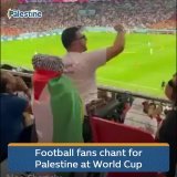 Football fans chant for Palestine during the Qatar vs. Netherlands match at #FIFAWorldCup 0:072,641 views