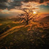 I hiked quite far to get to this tree only to find that my drone took the best photo of it anyway . This was just after a big storm, and by the time I got back down the mountain, I was covered head to toe in mud.   #storm #Mondaymorning #photography