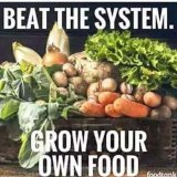 Only in US #Organic Farmers are treated like #terrorists. #Monsanto/#Bayer: No food shall be grown that we do not own:  #GMOs #FDA #FDARaid #rawfood