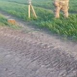 Ukrainian RM-70 MLRS, donated by the Czech Republic, in use in eastern Ukraine.