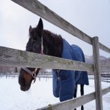 「北海道まで来たし1時間走ったら本物のチケゾーに会えるらしいよ？行ってみない？」 「ちょい無茶な旅程だけどやっぱりチケゾーの放牧みたいよね」 「AERUのツアーで育成牧場行けるらしいよ！チケゾーの放牧見たあと行こ！」 &hellip;彼なくしては全て始まりませんでした。心よりご冥福をお祈りいたします。