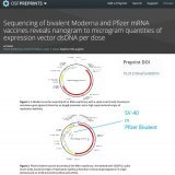 McKernan et al, analyzed two vials of @moderna_tx and 2 vials of @pfizer bivalent vaccines.  The cancer promoter SV-40 was in @pfizer.  Neither company has done analyses to corroborate or refute these findings. #courageousdiscourse @drcraigwax @MdBre
