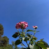 A beautiful day