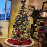 Well, we downsized the tree this year.  We bought a 6 ft pencil tree.  It's up.