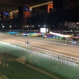 みなさま、お疲れちゃんです  浴びるほど酒飲んできました ビールにウーロンハイに ウイスキーにハイボールに笑  帰りたくねーな ちょっと遊んで帰りてーな と、浜松町の呑み屋で 検討中、、、  今日は 大井競馬場の ダイヤモンドターンという 食べ放題飲み放題の席で 観戦しました&hellip;Show more