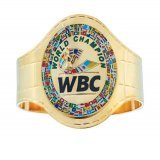 WBC優勝 おめでとう記念 WBCグッズ WORLD CHAMPION 便乗ですが いかがですか？  カッコいい品揃え