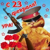 С Днём защитника Отечества, дорогие люди или же коты и самый лучший Кот на свете! @katMotja