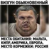 Соловьёв,Газманов,Песков и прочие клоуны,скажите простые и честные слова:мы не хотим чтобы убили наших детей. Мы вас поймём. Мы тоже не хотим,чтобы наших детей убили.Только,в отличие от вас,мы ещё хотим,чтобы и других детей,отцов,матерей не убивали в