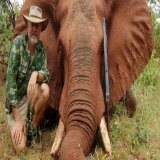 NSW Shooters, Fishers &amp; Farmers Party Upper House MP Robert Borsak has admitted to killing 8 elephants. Why is this grub in our Parliament?  #NSWpol #NSWvotes