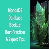 MongoDB Database Backup: Best Practices &amp; Expert Tips #MongoDB