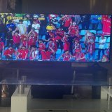 #CAFCL participants are out   Wydad you biscuit