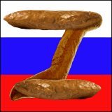 #ДеньПобеды  #ДеньПобеды2022 #9мая  #9мая2022  Russian new flag