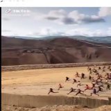 Everybody running to buy back dogecoin now that Elon is in charge #dogecoin