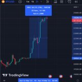 Everybody who thought they were geniuses buying USDC at $0.91, actually missed out on a 20% bitcoin pump.  Just sayin.