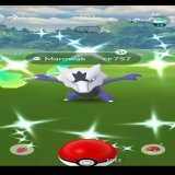 Shiny Marowak from the special research! #PokemonGo #Shiny #ShinyPokemon