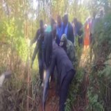 Wairima, Othaya ACK Clergy, faithful and Rigathi Gachagua escape the church through bushes. What even is this government, though? This is not politics, leave the church alone.