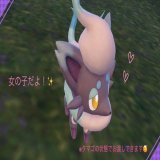 全人類参加して ラブボ入色ヒスイゾロアのを配布します  の色違いが出る確率はなんと4096分の1！ お守りなしで色違いに自然遭遇するレベル 参加するっきゃないね  参加方法　フォロー&amp; RT &amp;いいね 締め切り　3月4日23時59分  色ヒスイゾロアは誰の手に！？  #ポケモンSV #ポケモン配布