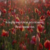 They shall grow not old, as we that are left grow old, Age shall not weary them, nor the years condemn.  At the going down of the sun, and in the morning, We will remember them.  #TwoMinuteSilence #LestWeForget #ArmisticeDay