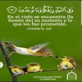 ،#TNTSportsMundial،#RiverDeSelecci&oacute;n،#TorneoLPF،#NationsLeaguexESPN،#CONCACAFNationsLeague،#BrasileiraoEnStarPlus،#EliminatoriasQatar2022،#Repechaje،#MLSxESPN،#FUTBOLxESPN،#ESPNenStarPlus،#QatarWorldCup2022,#2022_FIFA_World_Cup,#FIFAWorldCup20