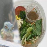 これにコメントしてる専門家頭大丈夫か？ 混入したカエルなどに毒や寄生虫いたらどうするよ増沢  スーパーで買った「サラダ麺」にまさかの&ldquo;カエル&rdquo;混入 なぜ?食べている最中に気づき&hellip;保健所が工場に立ち入り検査　(FNNプライムオンライン)