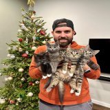 "Happy Holidays from our foster kittens!" #cats #kitten #CatsOfTwitter #happy