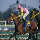今日は全く見応えも的中も無く撃沈 中山と阪神の最終12レースは中々の高配当。やはり、最終レースはオッズに関係なくデカいのが昔から飛び出す 本日は完敗で終了次はG1皐月賞。1997年の優勝馬、サニーブライアンのような馬は今年は居ないのか？皐月賞は抜けた馬が不在の混戦模様だ
