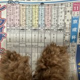 #日経新春杯　#京成杯 おはよーございます  【日経新春杯】 　\u25c9ロバートソンキー 　　3連複軸1頭流し\u25c9&rarr;01.02.04.08  【京成杯】 　ソールオリエンス 　グラニット 　シャンパンカラー 　　ワイドBOX  　ドッグラック