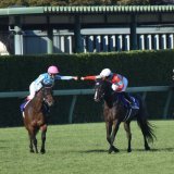 スプリンターズステークス  優勝ジャンダルムさん  おめでとうございます(⁠\u2606⁠\u25bd⁠\u2606⁠)  荻野騎手と菊沢騎手のグータッチ  #ジャンダルム  #スプリンターズステークス