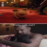 Every time Senator My Boo explodes my ovaries, Jason Momoa regenerates them  It&rsquo;s the circle of life    Him and his pet pig watching #Slumberland is just