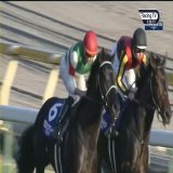 "It was just about holding your position."  Vela Azul looked up against it in the #JapanCup but Ryan Moore knew what he had beneath him.   #LuckOnSunday @ABE_Dubai  #ヴェラアズール   @HorseRacing_JPN #JRA