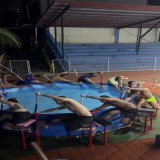 Dryland training for rowers