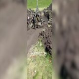 Reportedly the first video of US M777 howitzers being used by Ukrainian troops in combat in eastern Ukraine.